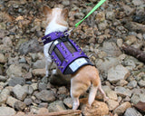 XXS Predator Protection Harness (includes spike strips)