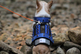 XXS Predator Protection Harness (includes spike strips)