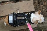 XXS Predator Protection Harness (includes spike strips)