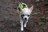 XXS Predator Protection Harness (includes spike strips)