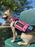 XXS Predator Protection Harness (includes spike strips)