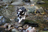LARGE Predator Protection Harness (includes spike strips)