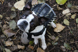 LARGE Predator Protection Harness (includes spike strips)