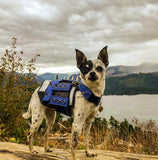 XXS Predator Protection Harness (includes spike strips)
