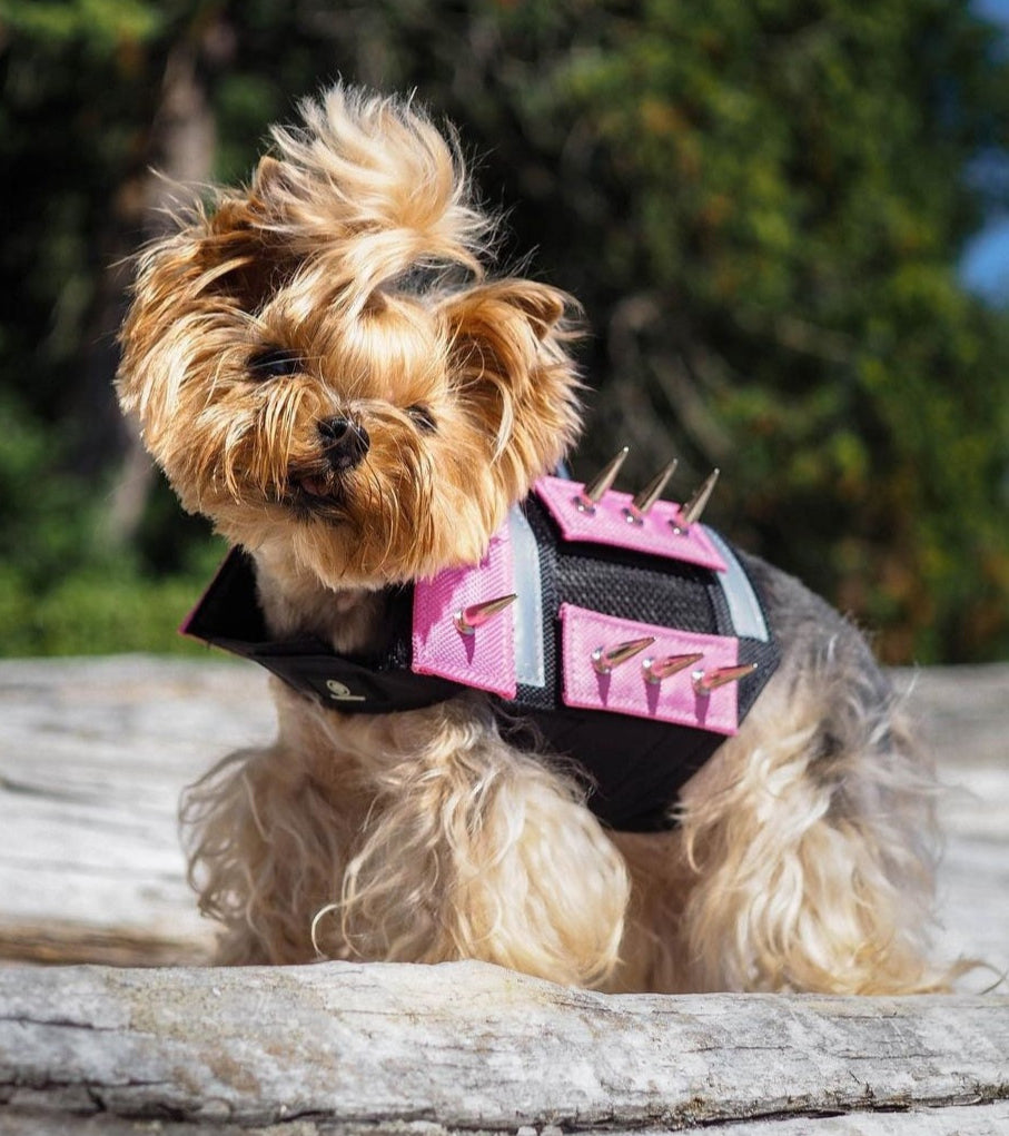 Small Dog Protection Vest Dog Harness With Spikes MINI Predator
