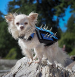 XXS Predator Protection Harness (includes spike strips)