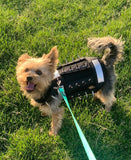 XS Predator Protection Harness (includes spike strips)