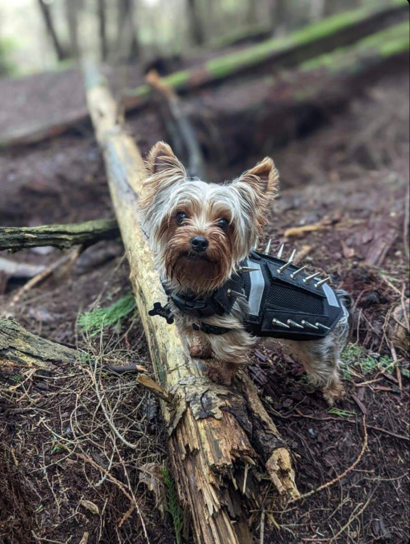 Canine predator protection harness PredatorBWear