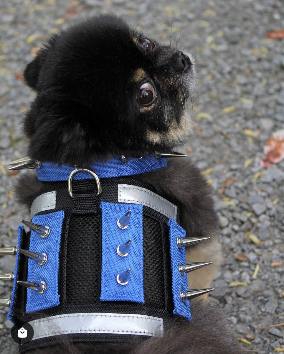 MINI Predator Protection Harness (includes spike strips) – PredatorBWear