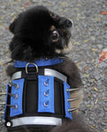 MINI Predator Protection Harness (includes spike strips)