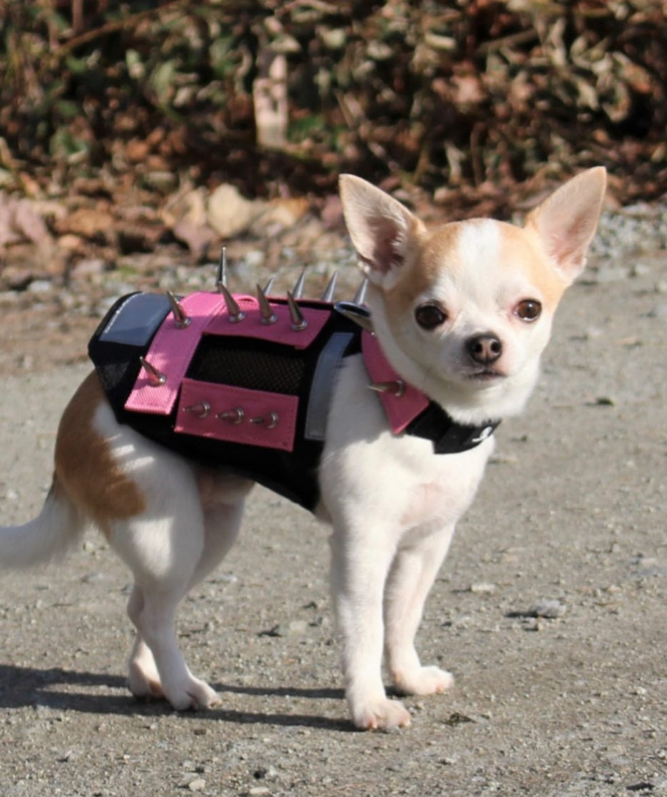Anti Bird Hawk Deterrent For Small Dogs Coyote Vest Anti Hawk Vest