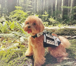 XXS Predator Protection Harness (includes spike strips)