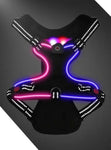 LED Harness-GLOW IN THE DARK!