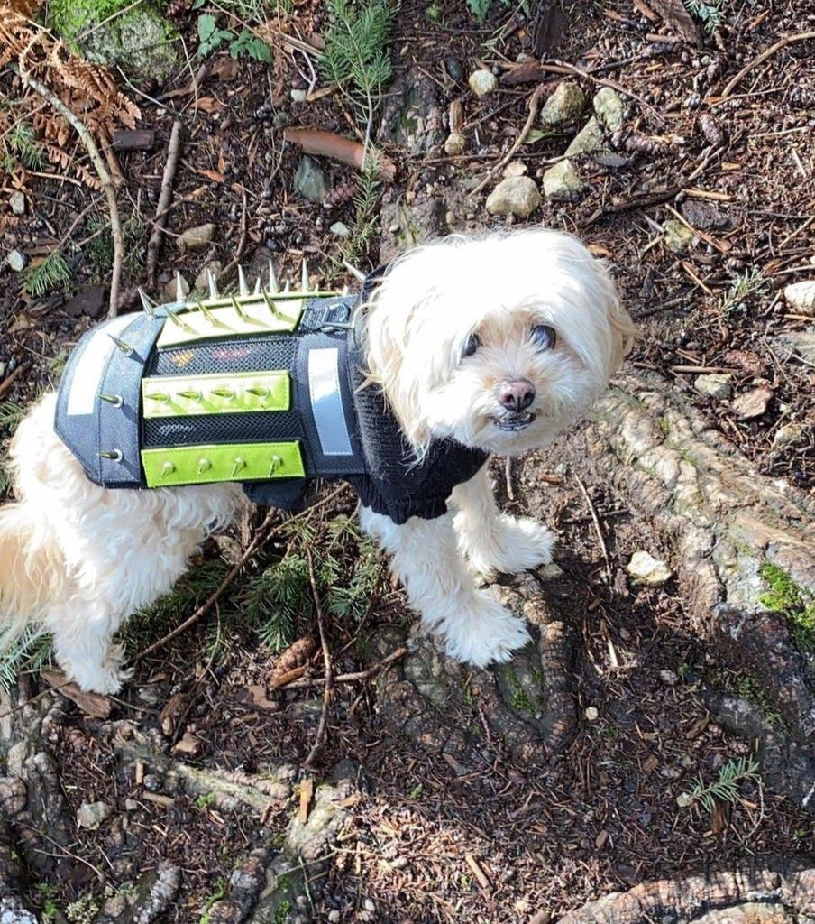 Canine predator protection harness – PredatorBWear