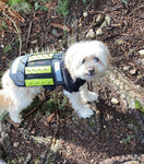 SMALL Predator Protection Harness (includes spike strips)